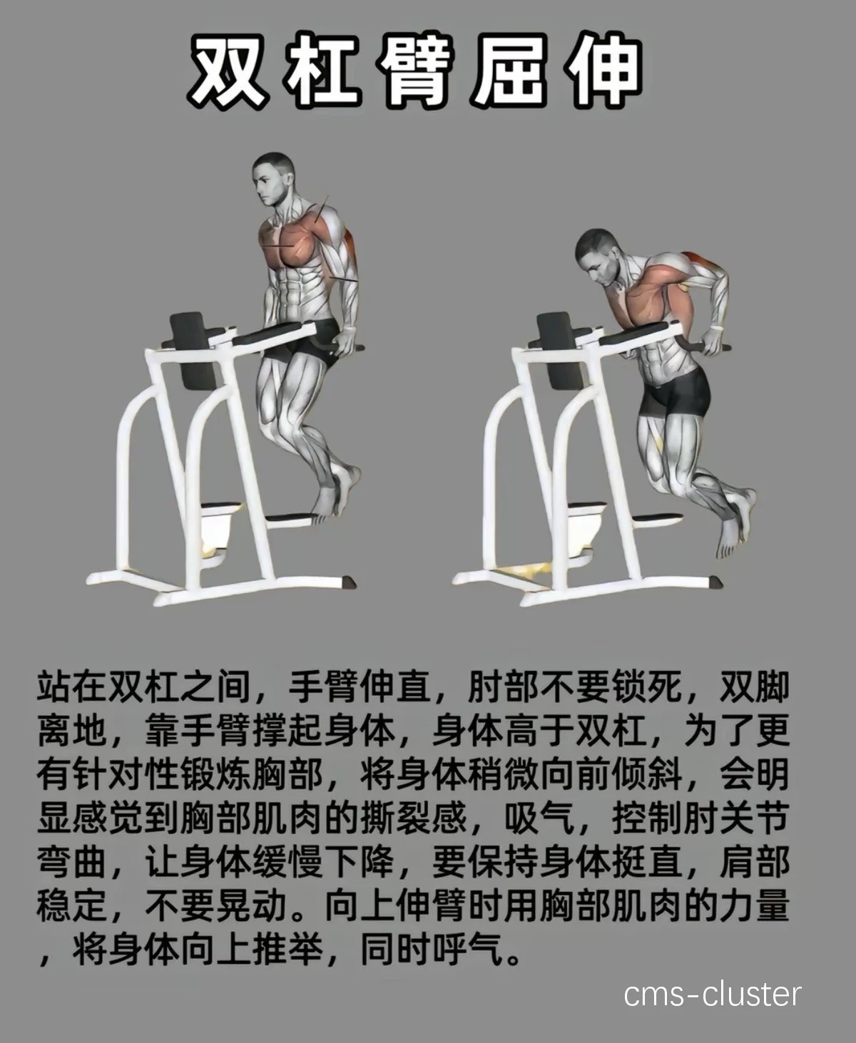 标准双杠臂屈伸示意图