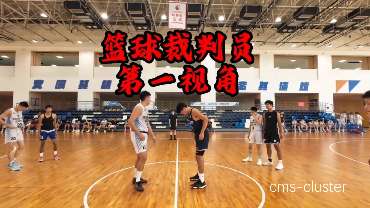 裁判席视角示意图