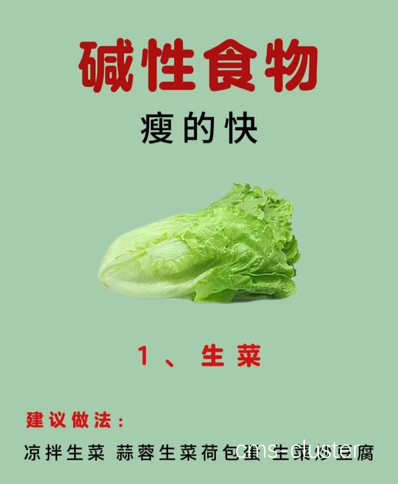 篮球场地餐饮区的健康食品