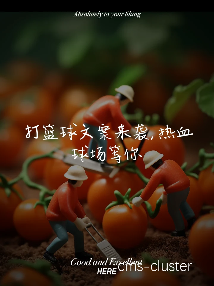 无线网络提升篮球场地服务质量
