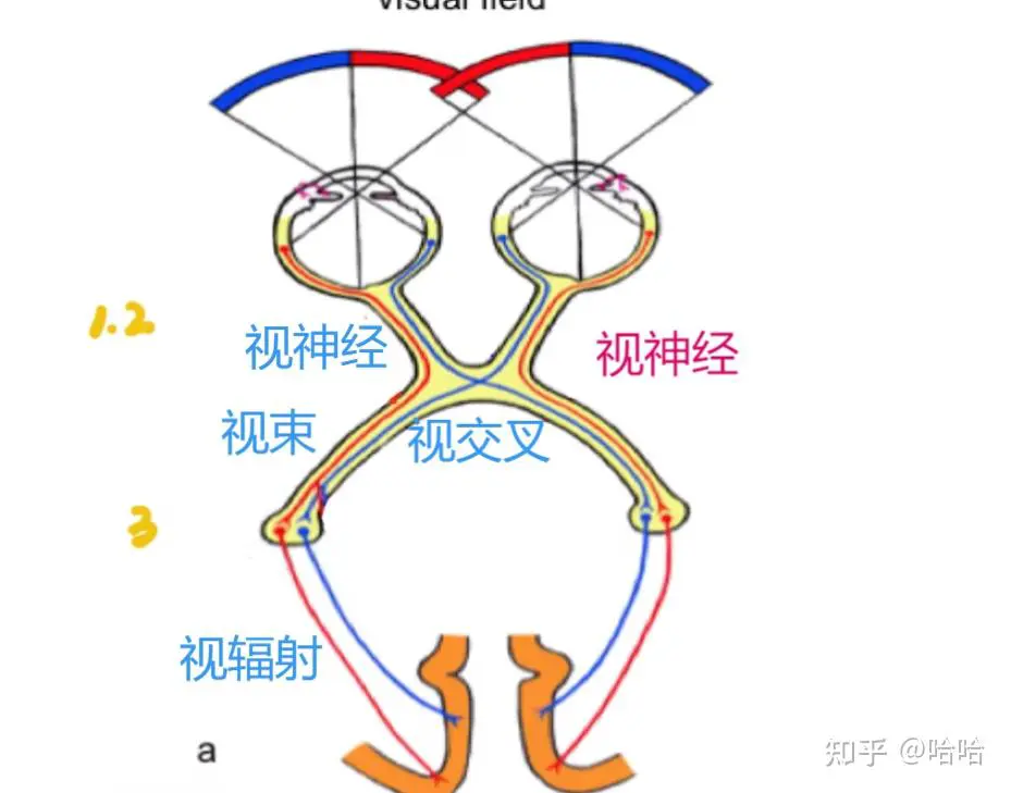 触觉引导系统示意图