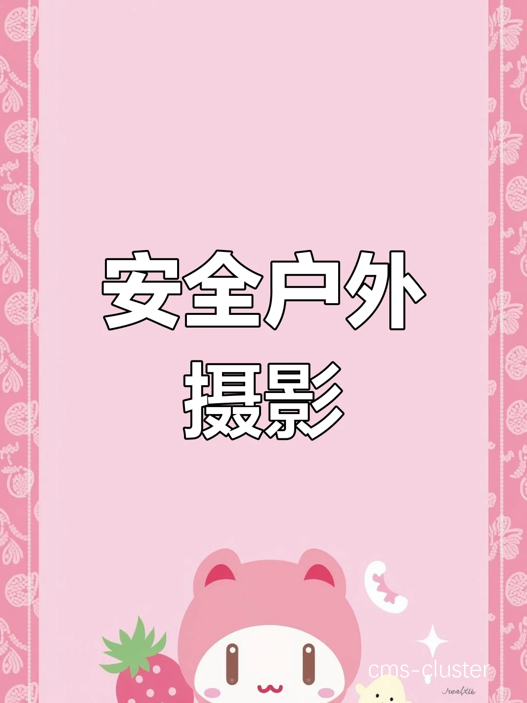 传统固定式摄影区示意图