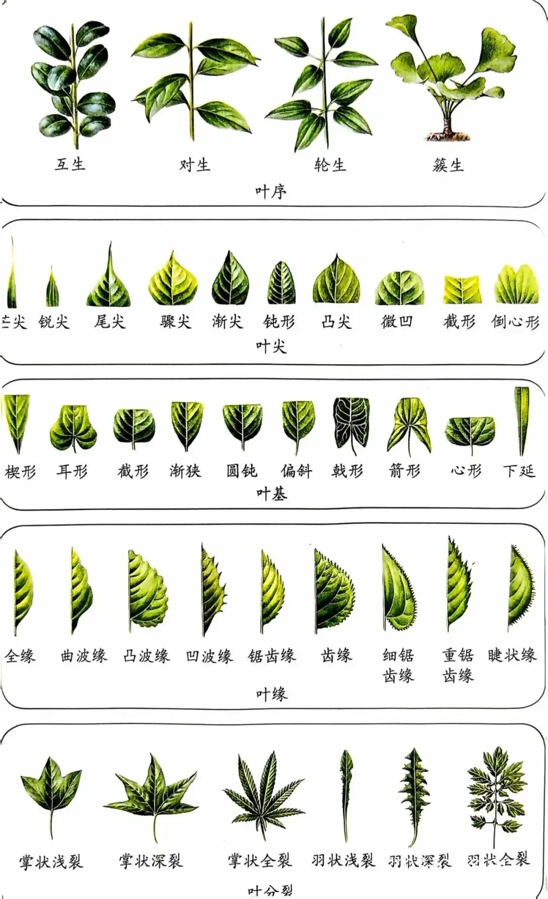 底线训练总结图