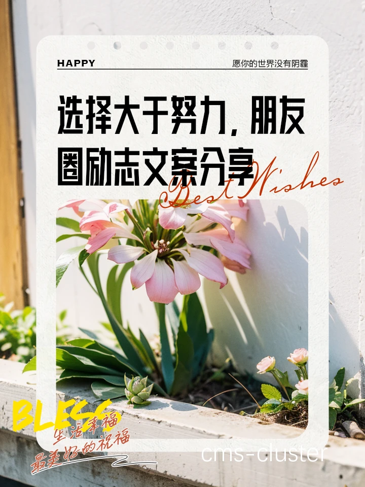 互动引导图
