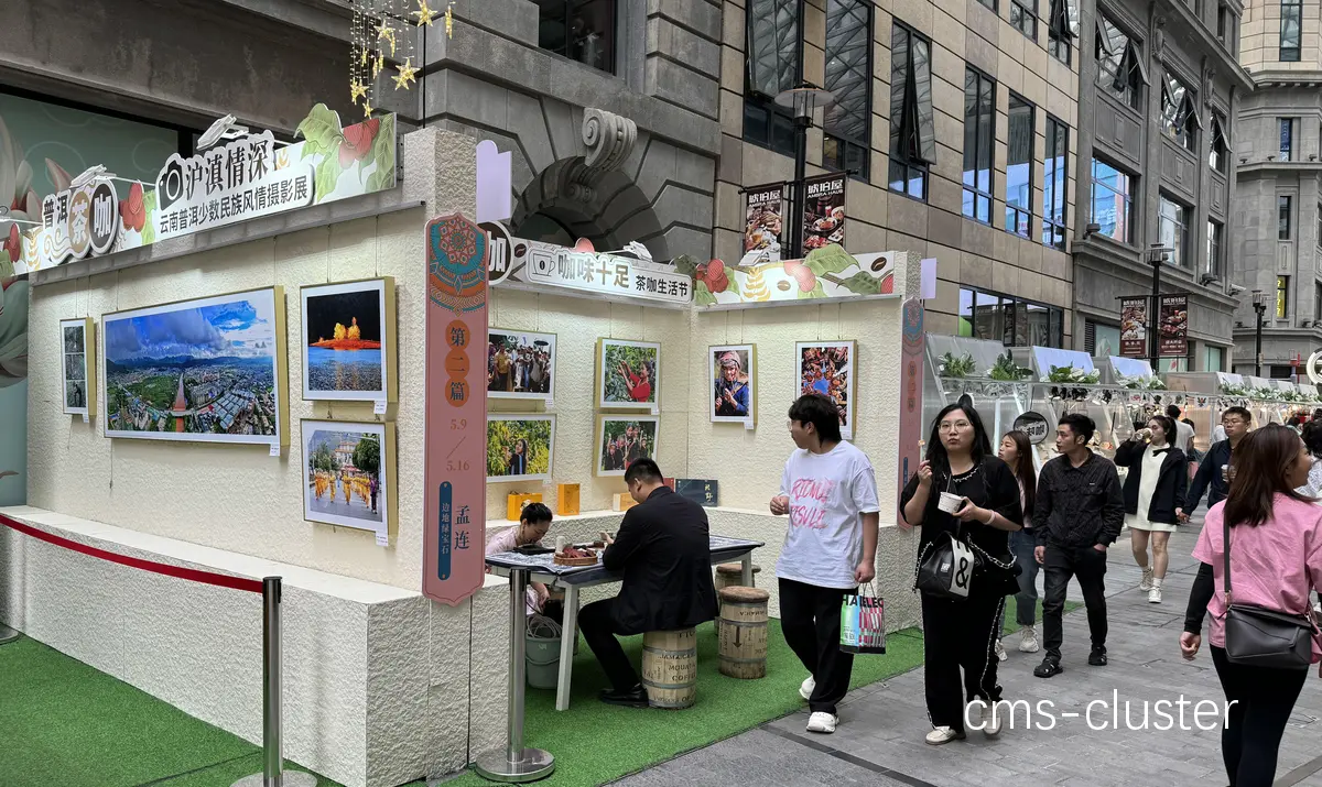 篮球场摄影区全景图
