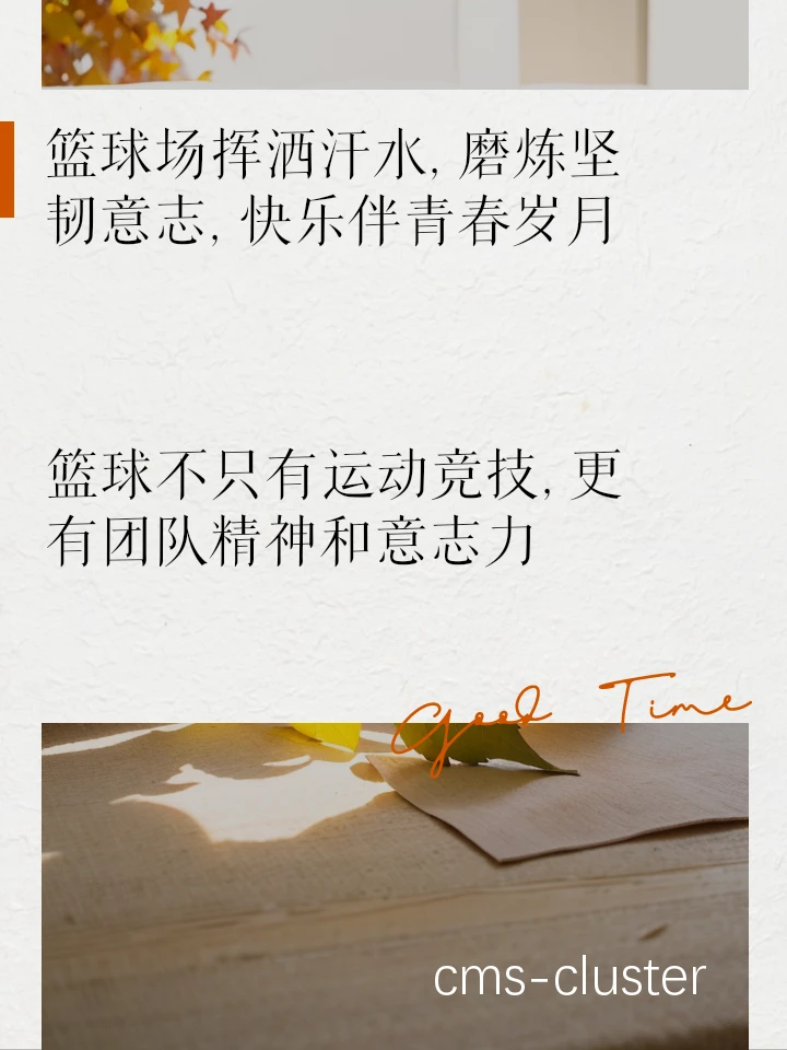 篮球文化推广