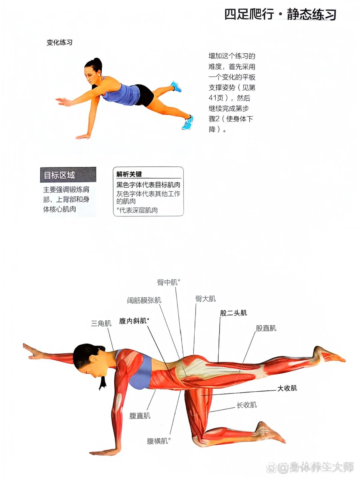 双杠核心训练