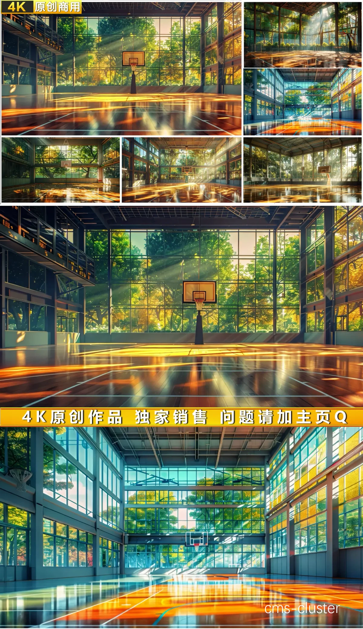 职业篮球场馆导航系统案例