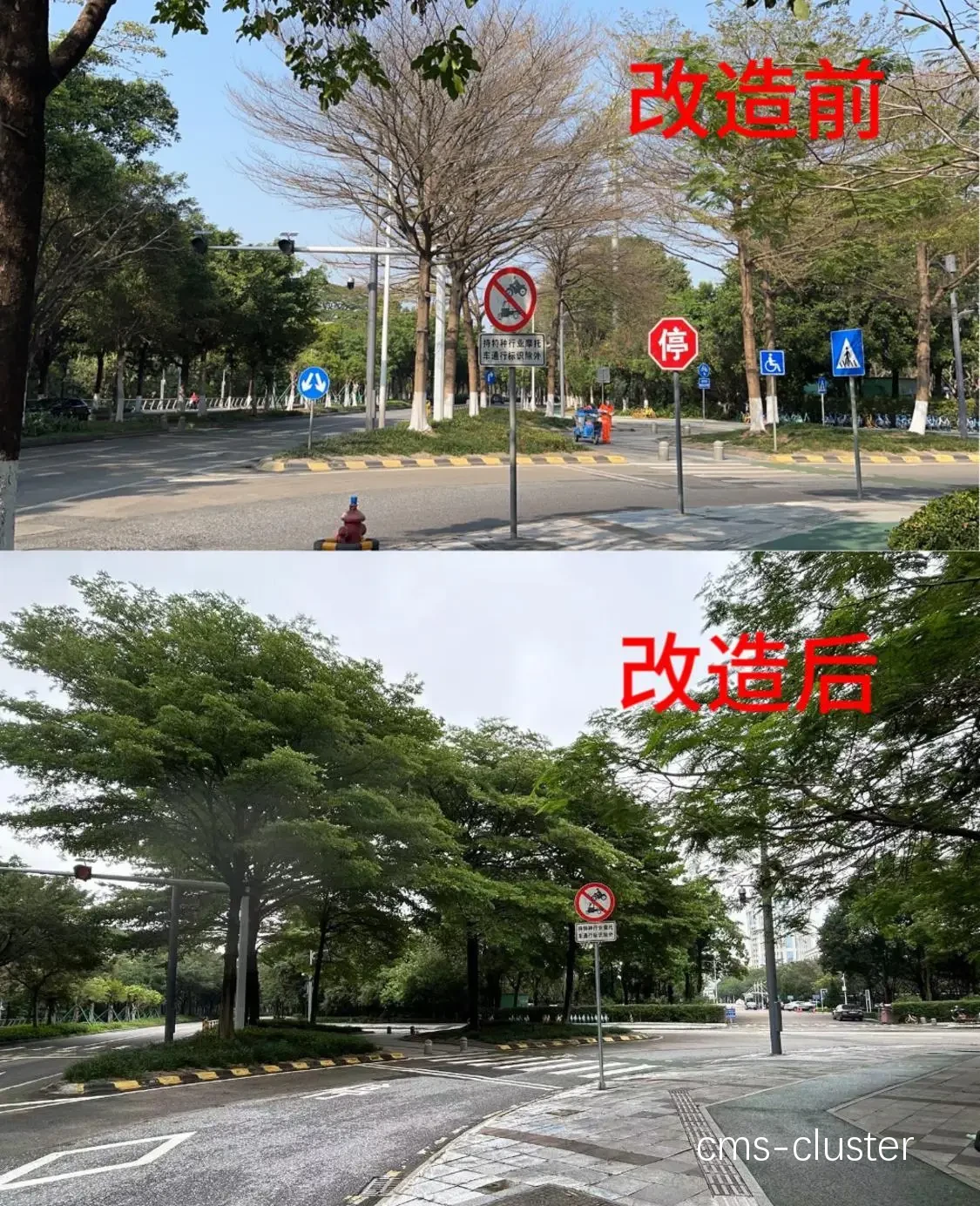案例前后对比图