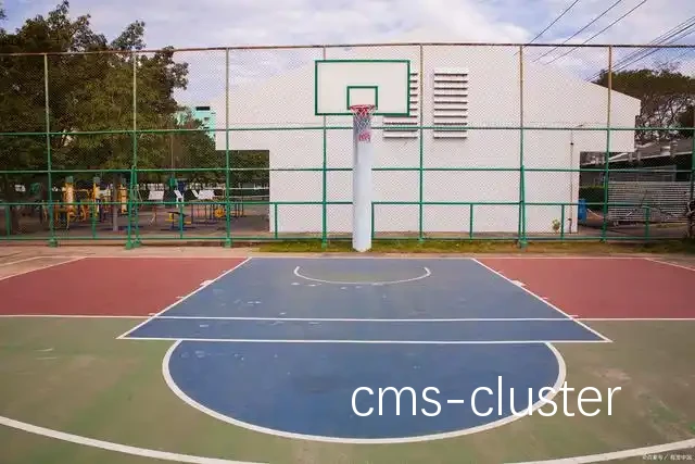 弹性篮圈示意图