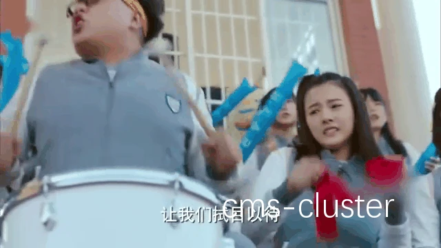 教练席视野示意图