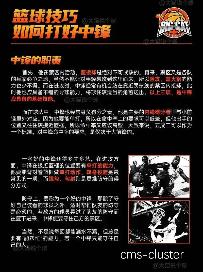 篮球场地清洁效果图