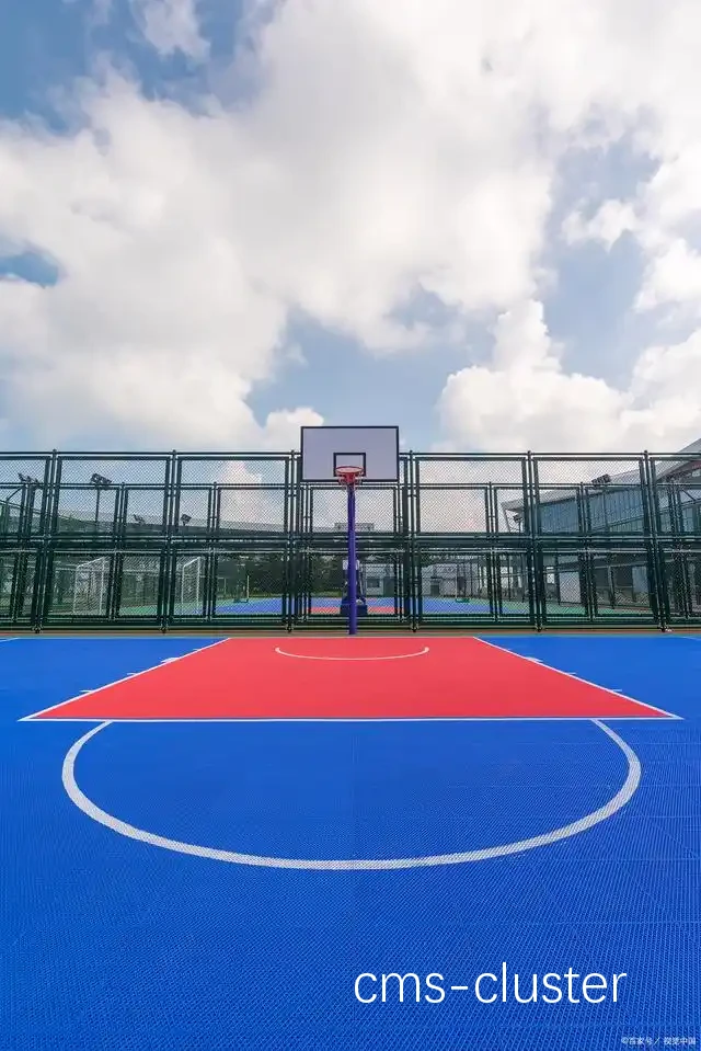 篮球场地全景图