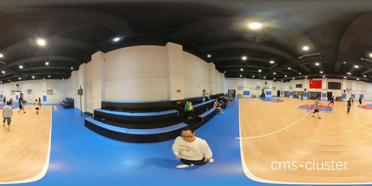 VR观赛体验图