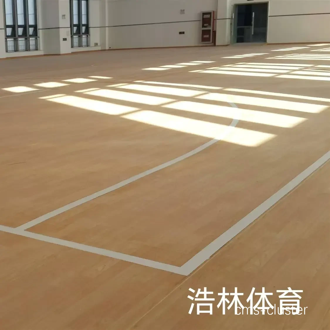 应急电源在篮球场地的应用