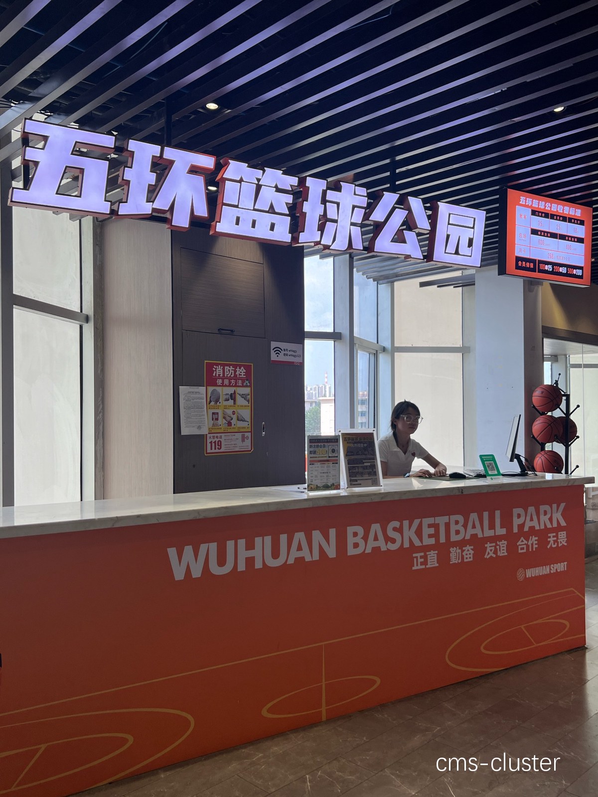 为什么篮球场地绿化能提升运动体验