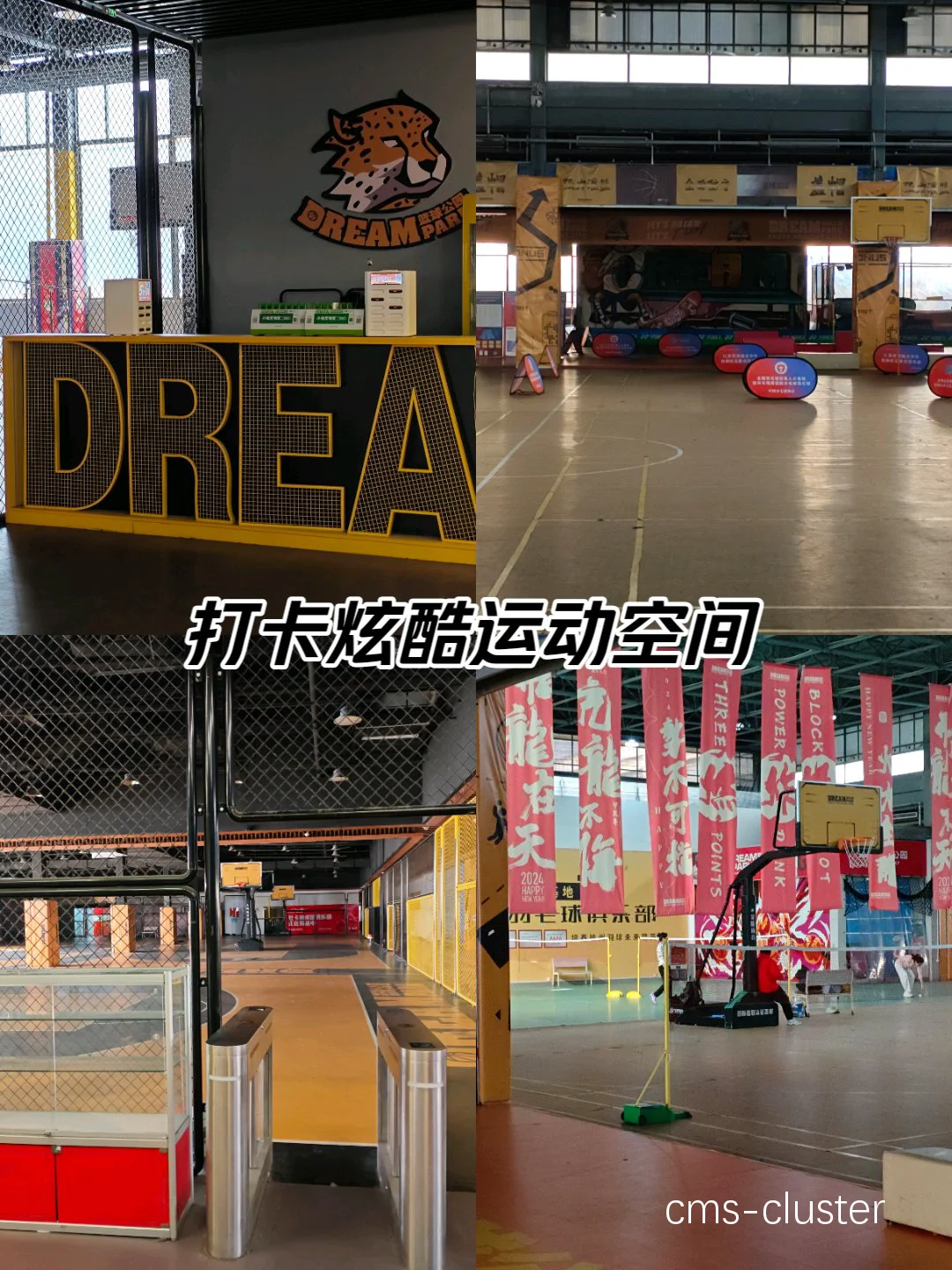 如何让篮球场和卡丁车场的结合吸引更多家庭游客?