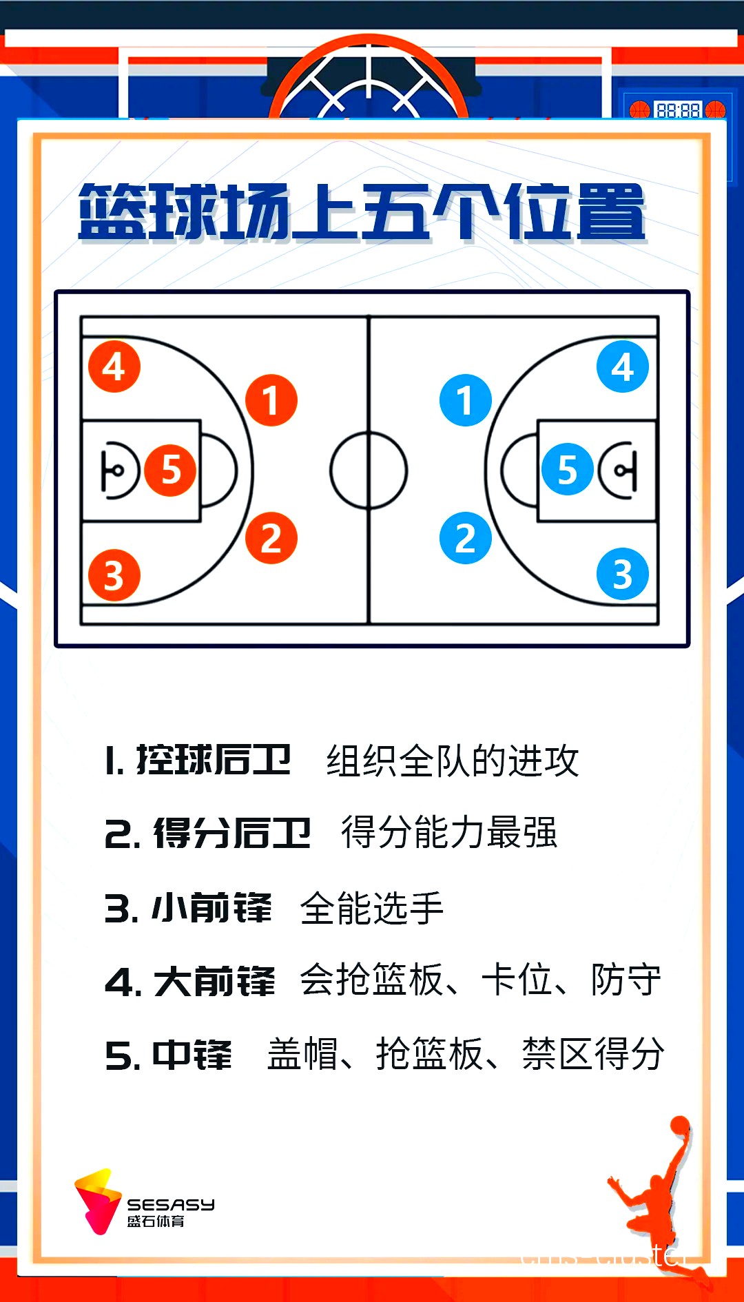 篮球爱好者在哪里可以了解交通指示牌的重要性?