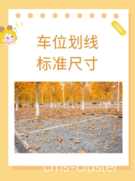 如何确保篮球场的残疾人车位符合标准?