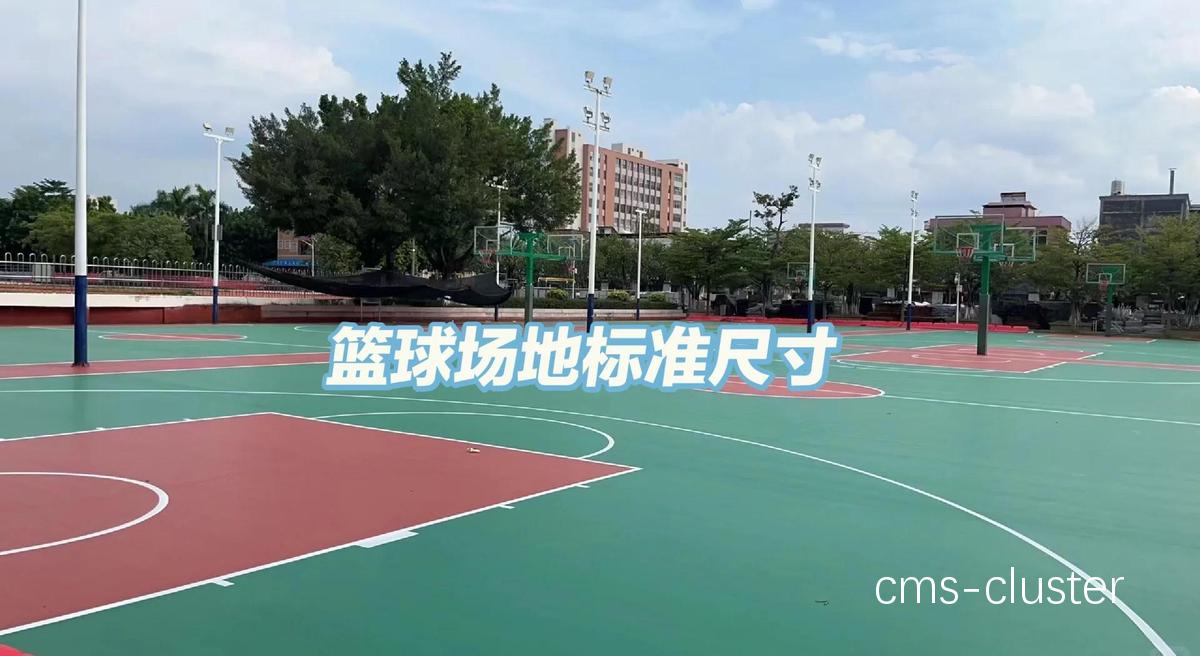 如何确保篮球场无障碍设施符合国际标准?