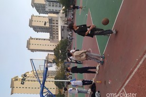  女性篮球爱好者对篮球场的特殊需求：打造理想运动环境