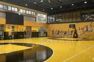  为什么篮球馆是文化展览的理想选择：探索多功能空间的潜力
