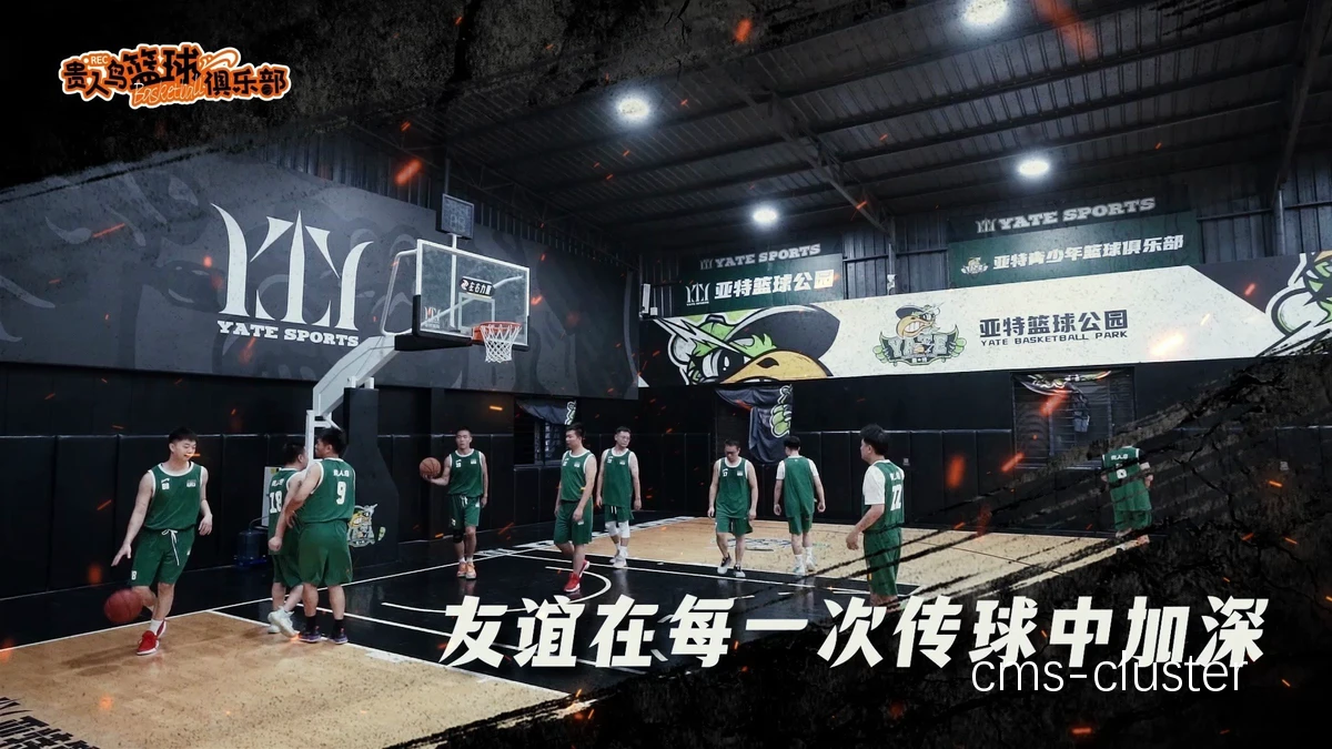 篮球俱乐部负责人如何挑选高质量的电缆?