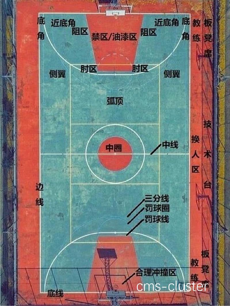 哪里有提供篮球和垒球两用的场地?