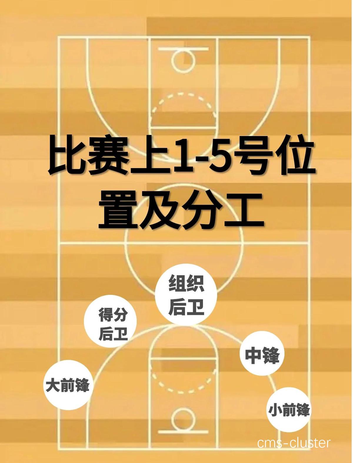 篮球俱乐部负责人如何规划场地电源插座的配置?