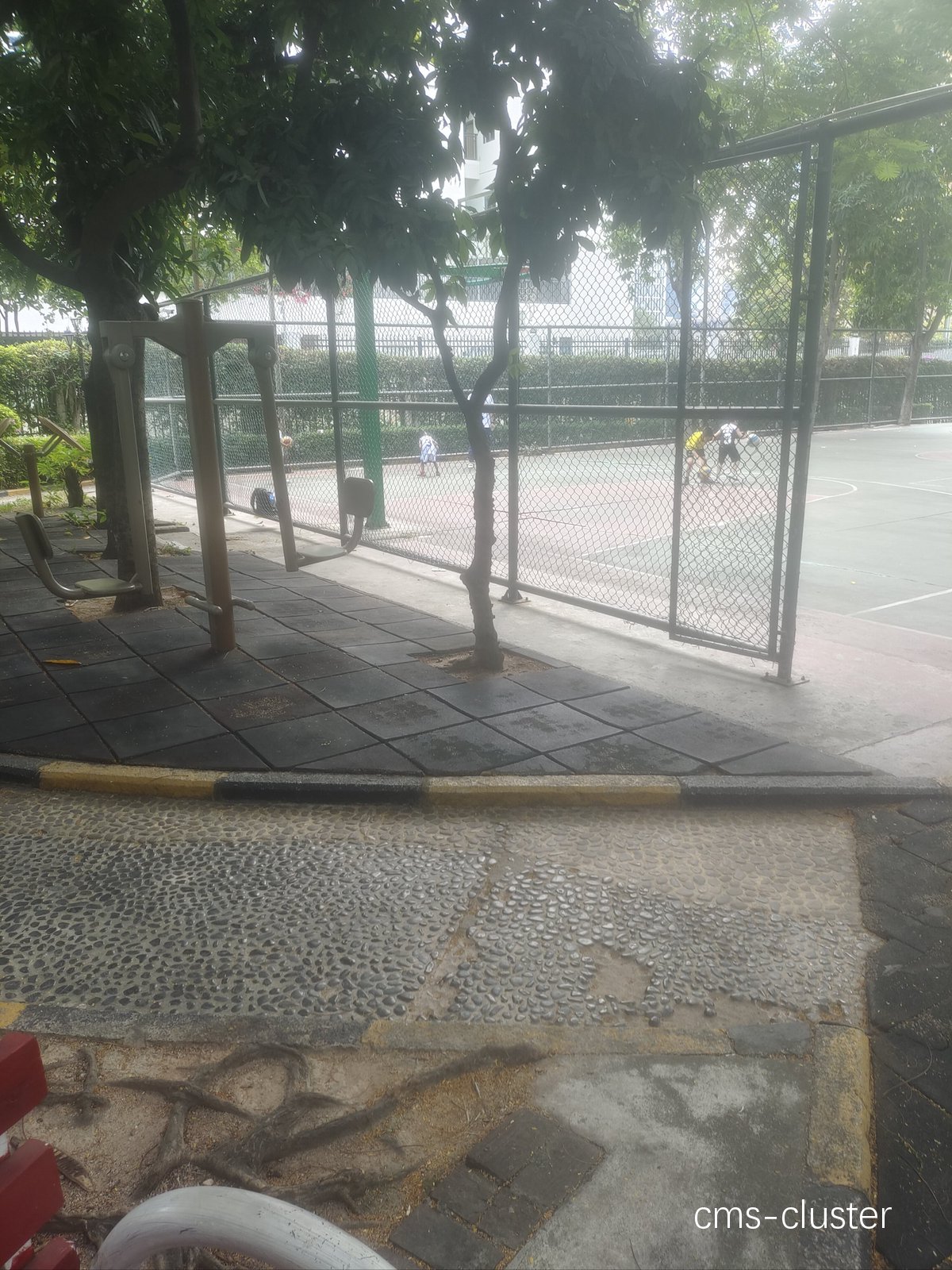 老年人打篮球时如何选择方便停车的场地