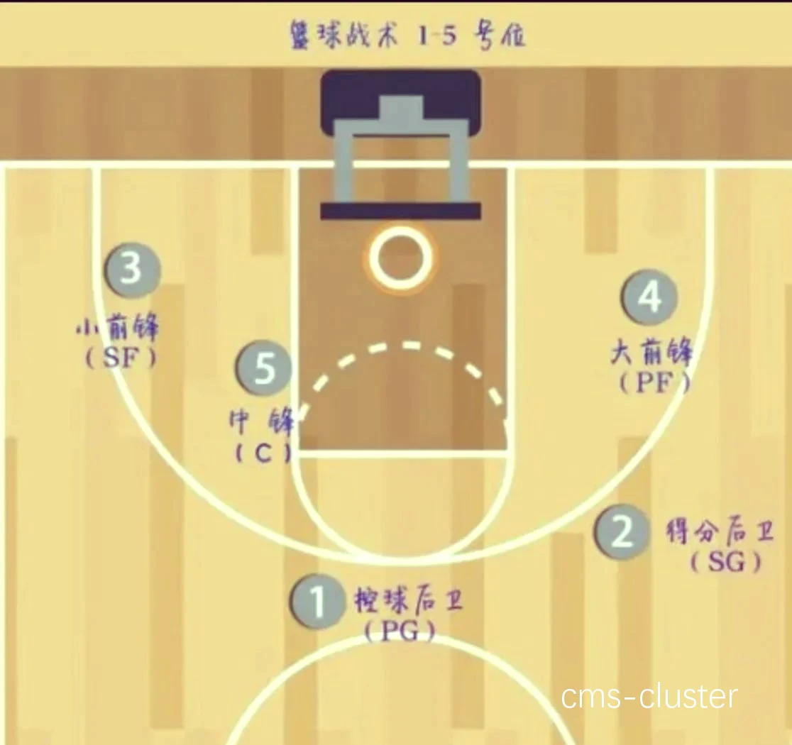 篮球赛事组织者如何选择合适的信号塔