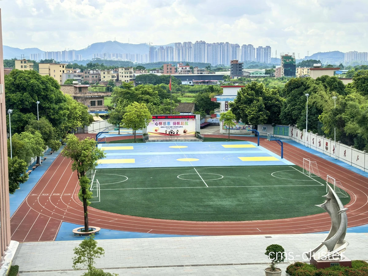 篮球爱好者关心的篮球场地排水系统问题及解决方案