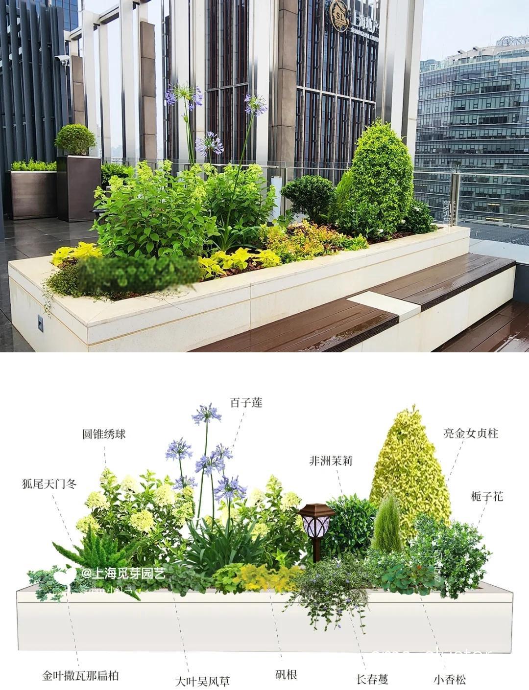 为什么篮球场需要种植花卉来提升环境