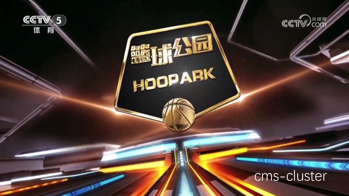 哪里能找到适合篮球馆的电影放映技术