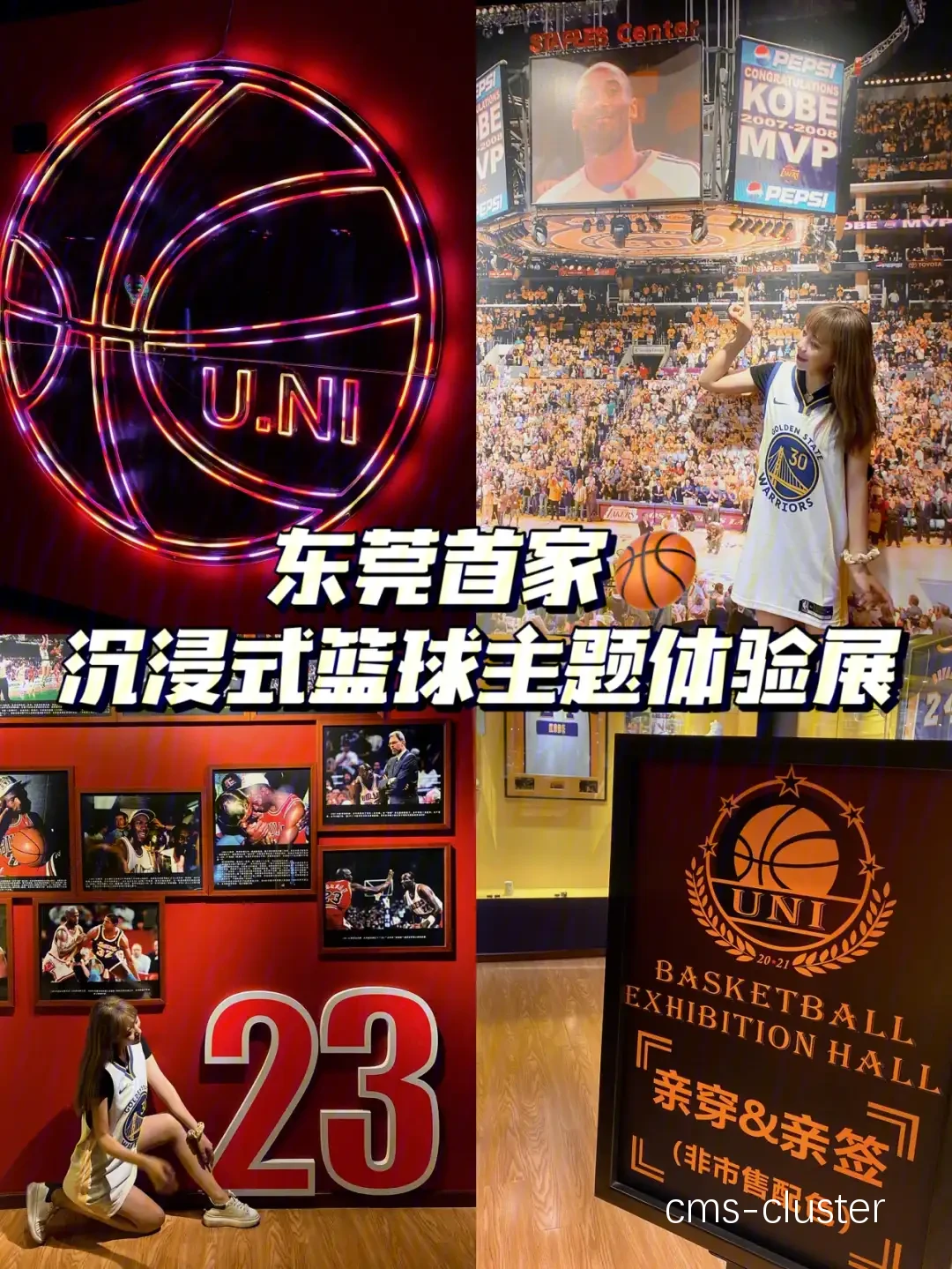 为什么篮球场地适合举办文化展览