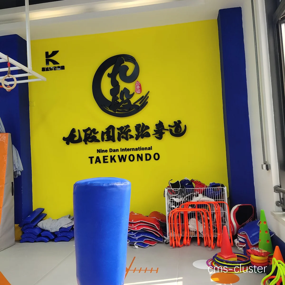 如何选择适合跆拳道馆的篮球设备