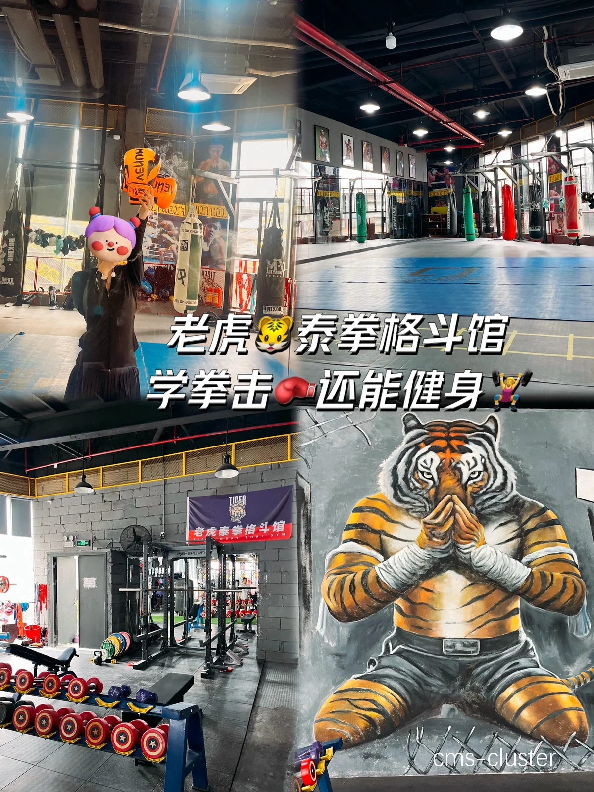 如何在篮球场附近找到合适的拳击馆?