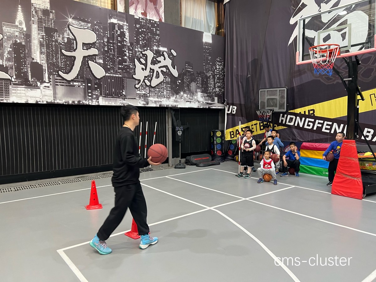 青少年适合在哪些武术馆进行篮球训练
