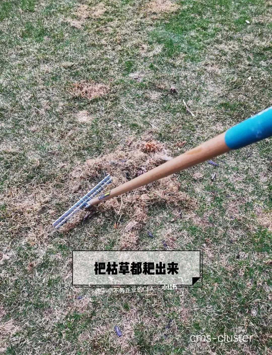 如何用修剪工具延长篮球场地草坪寿命