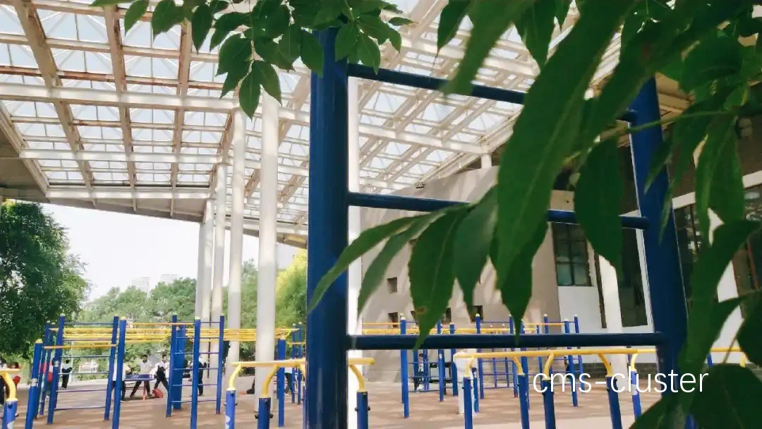 哪里可以找到适合篮球场装饰的花卉种类