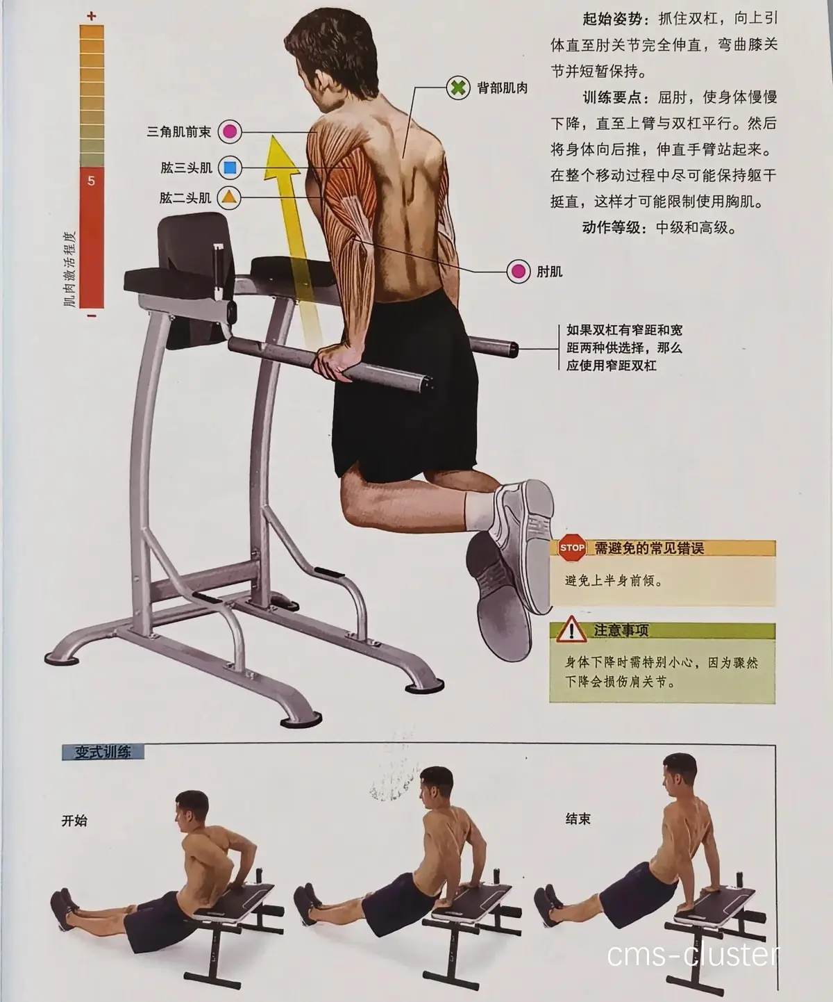 如何用双杠辅助篮球运动员的康复训练