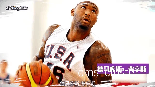 职业篮球队员依赖的反馈系统类型