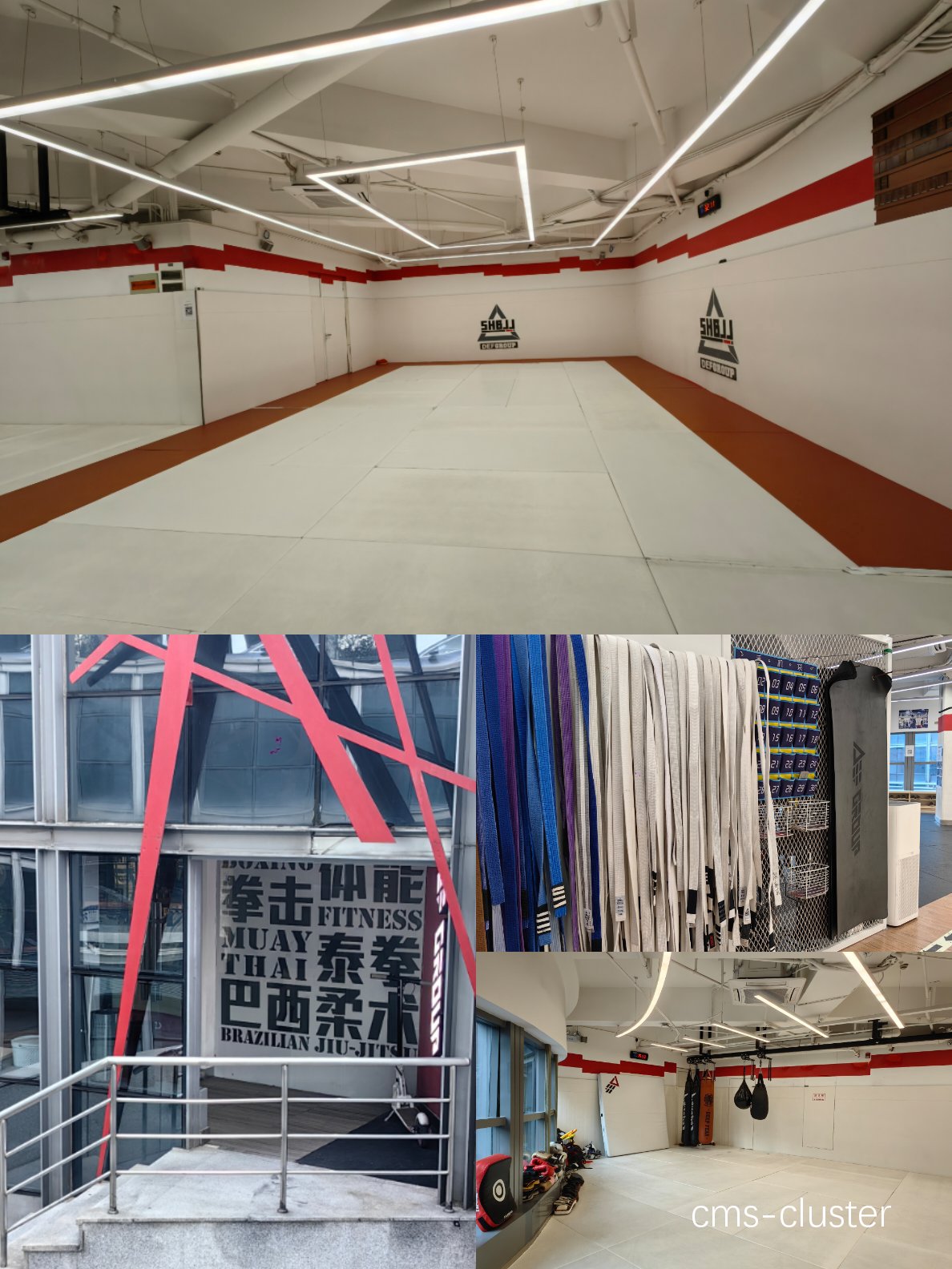 为什么柔道馆的地面适合篮球运动