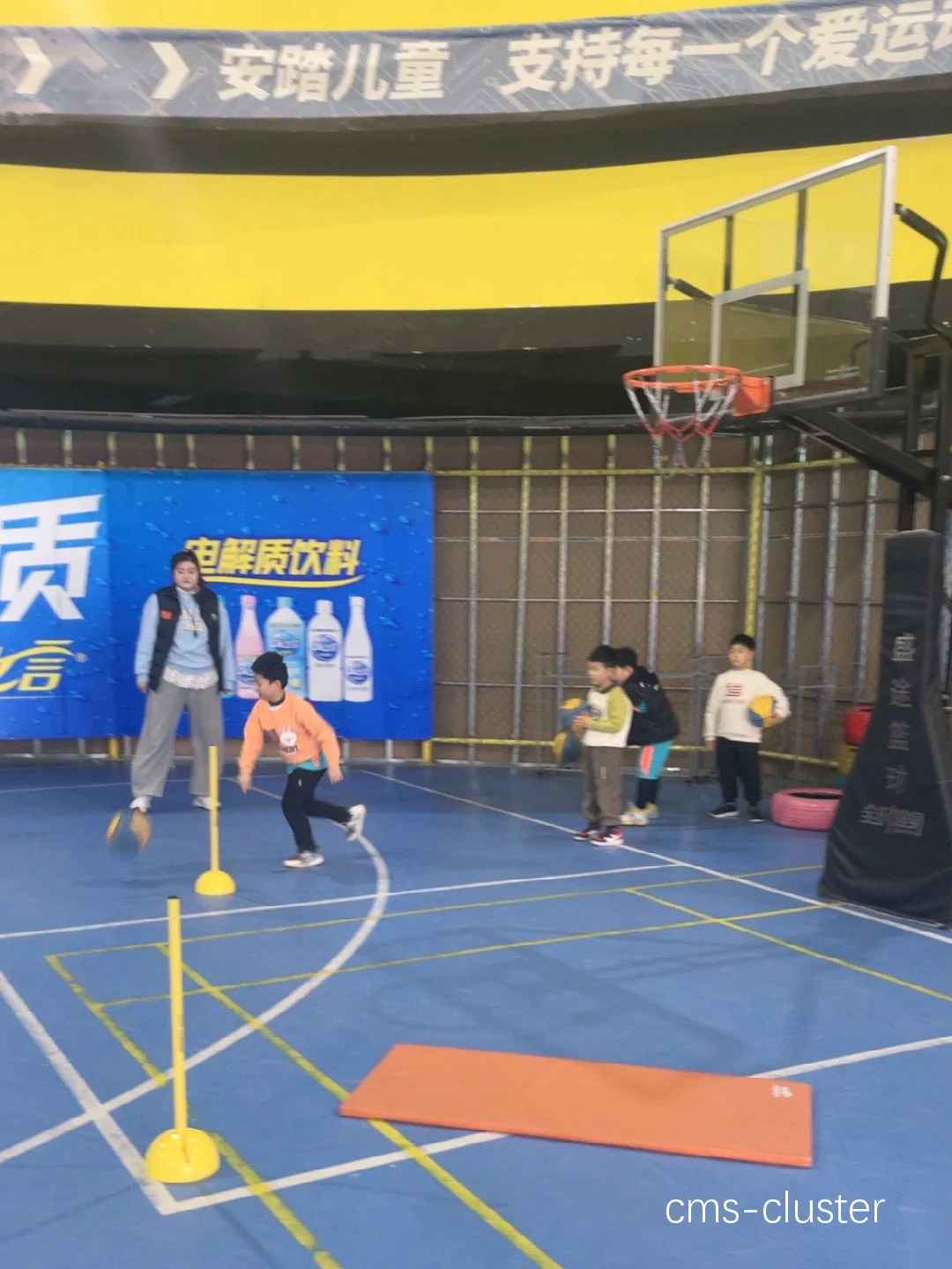 如何通过花坛提升篮球场地的品牌形象
