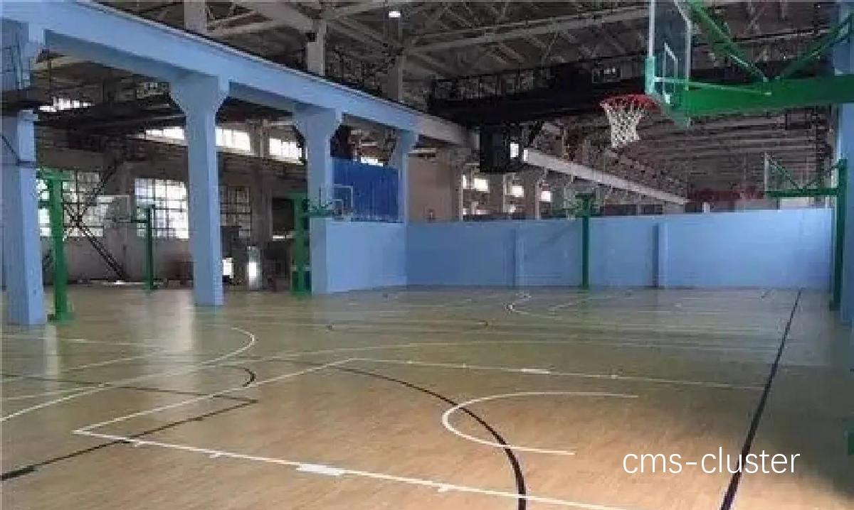 哪里可以找到可靠的篮球场地智能管理系统?