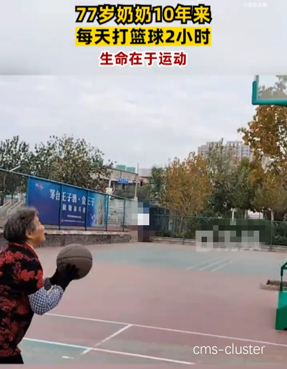 退休老人打篮球的理想篮球球场