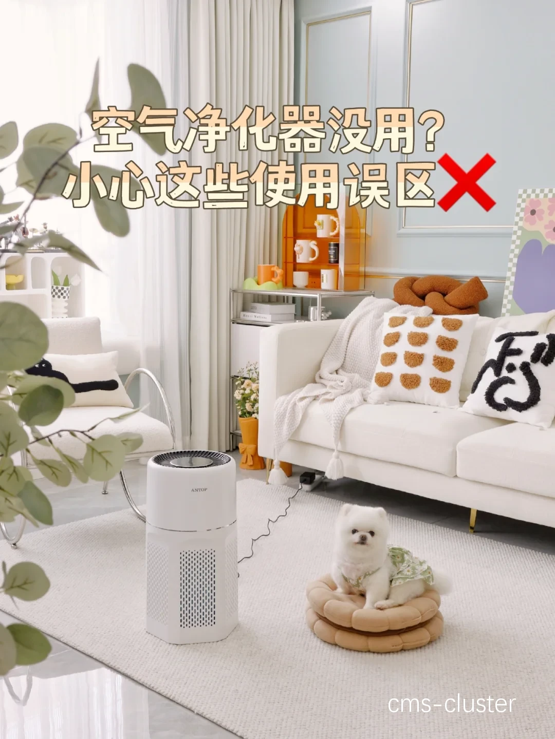 为什么篮球训练中心要使用空气净化器?