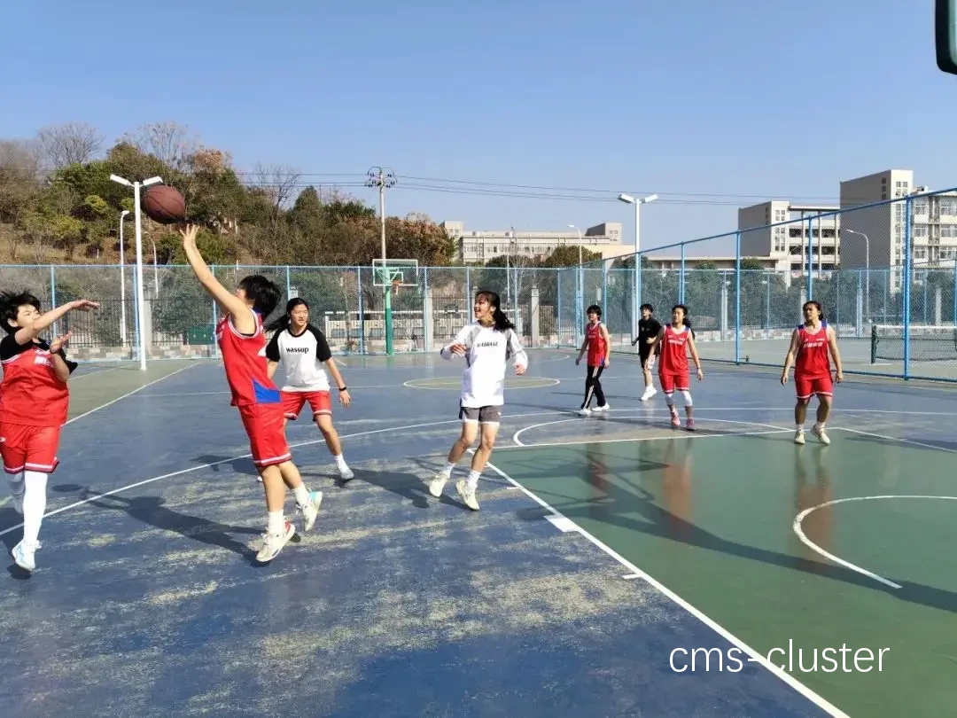 青少年篮球训练营的草坪维护要求