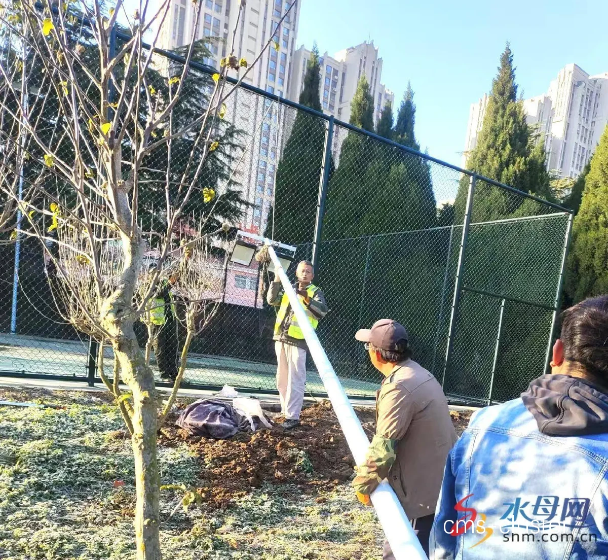 如何维护篮球场地的绿化设施