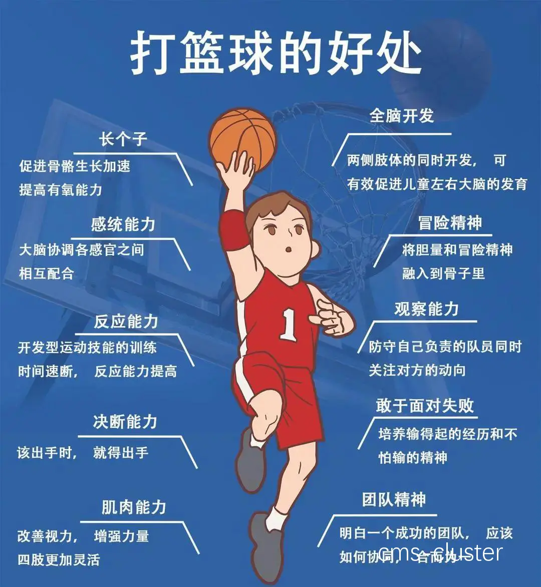 专业篮球运动员在选择应急电源时有什么特殊需求?